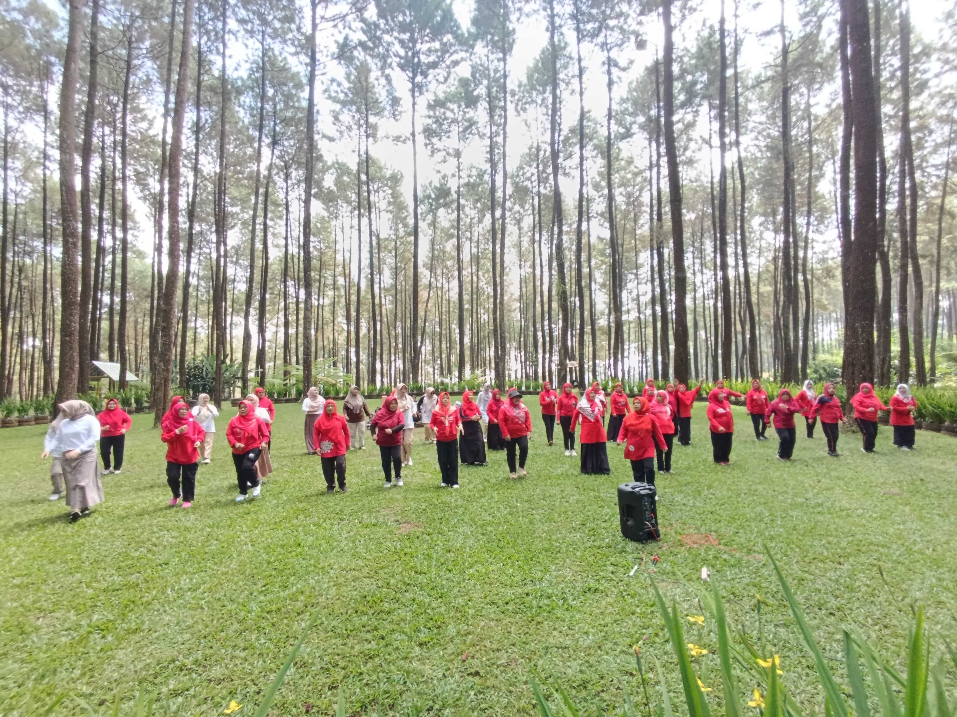 Pertemuan Rutin dan Jambore Kader IMP Kecamatan Bumijawa Dalam Rangka Memperingati HUT RI ke 80